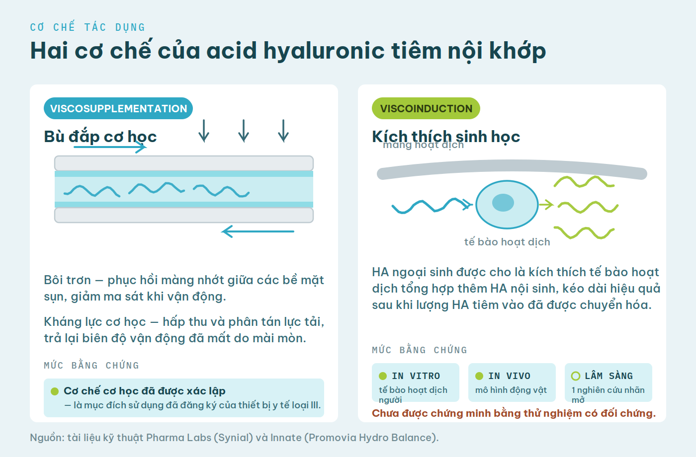 Sơ đồ hai cơ chế: viscosupplementation với màng HA bôi trơn và kháng lực giữa hai bề mặt sụn; viscoinduction với tế bào hoạt dịch tổng hợp thêm HA, kèm bảng ba mức bằng chứng.